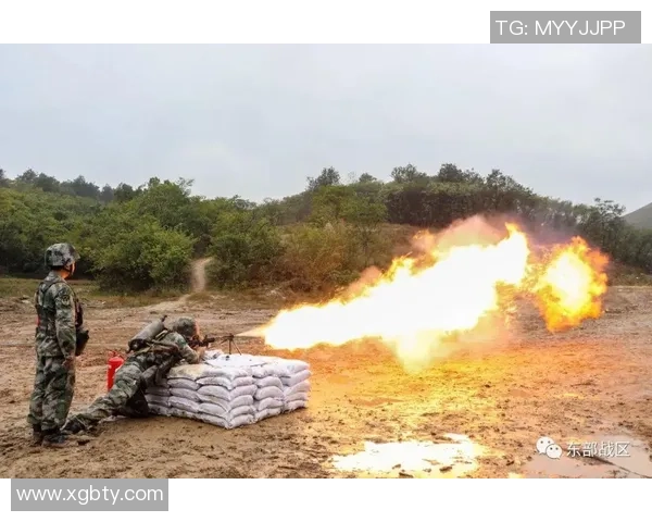 北京排球队反击战术分析与失误反思的全面评估