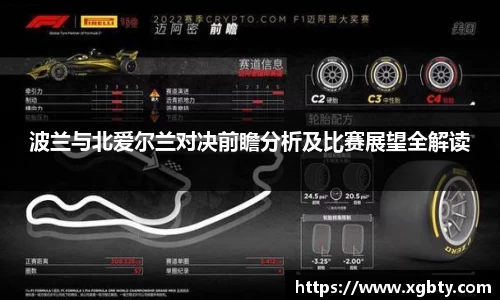 波兰与北爱尔兰对决前瞻分析及比赛展望全解读